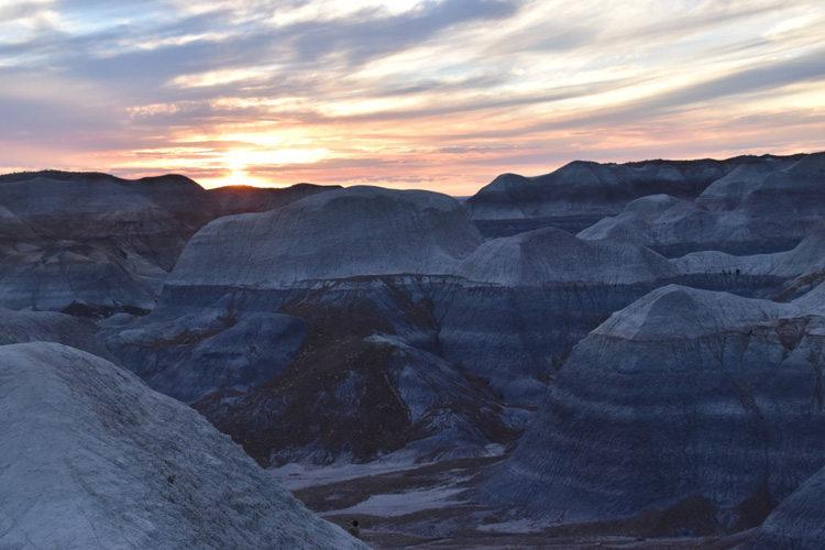 Arizona
Blue Mesa. Dove la foresta pietrificata si tinge d'azzurro