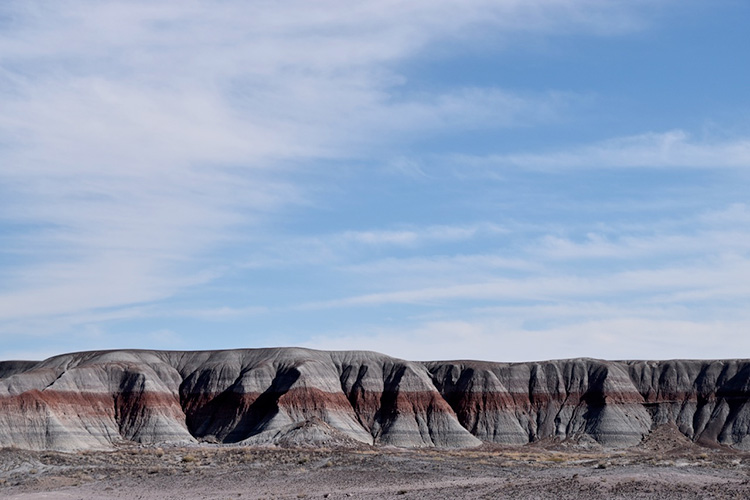 Arizona
The Enchantment of the Petrified Forest