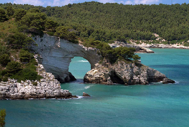 Vieste
Dove la natura sfolgorante fa sognare un’estate eterna