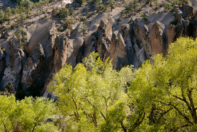 Primavera in New Mexico
tra fiori e pietra