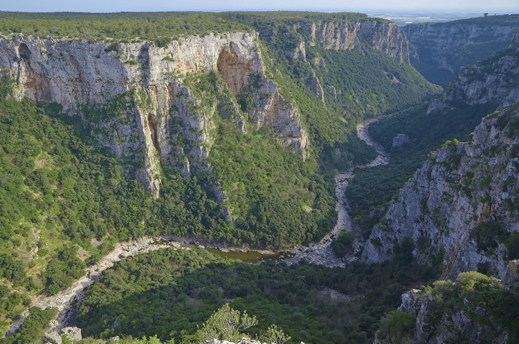 Gravina di Laterza
<br>Arizona di Puglia