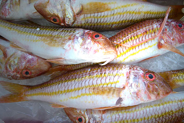 Fish
Protein of high biological quality 