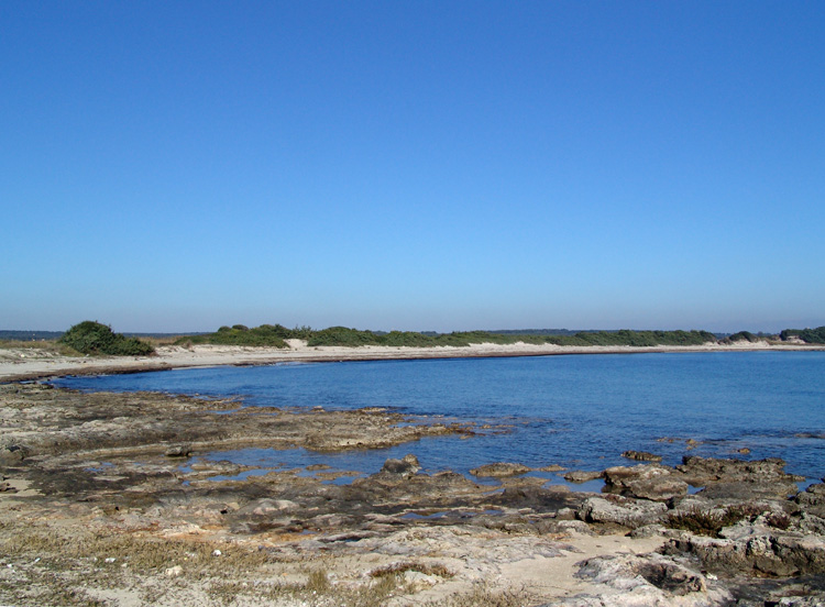 Saline dei Monaci
A sweet refuge for birdlife along the Ionian coast