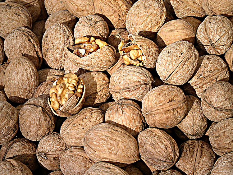 Walnuts
Topping up on antioxidants