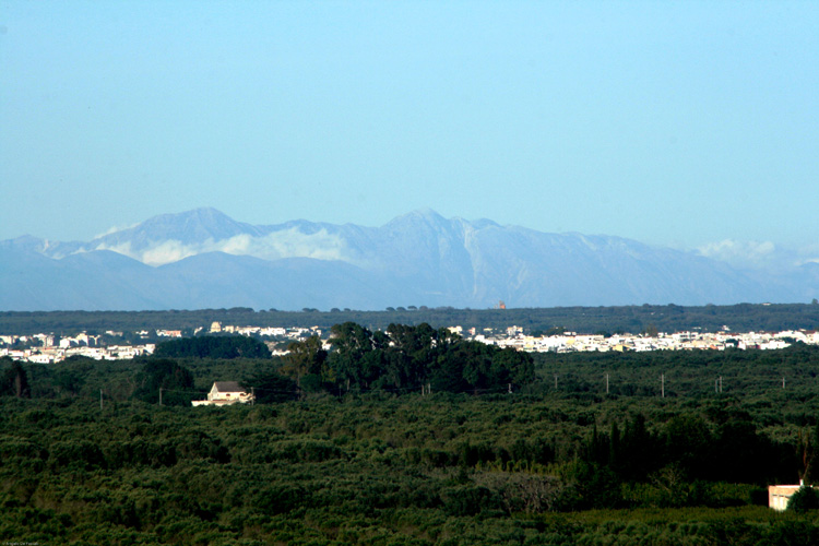 Supersano
At the foot of the Sierra, amidst olive trees and byzantine icons