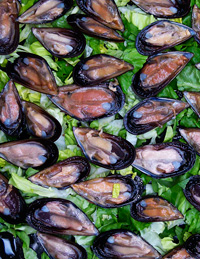 Mussels
 For a full serving of minerals 