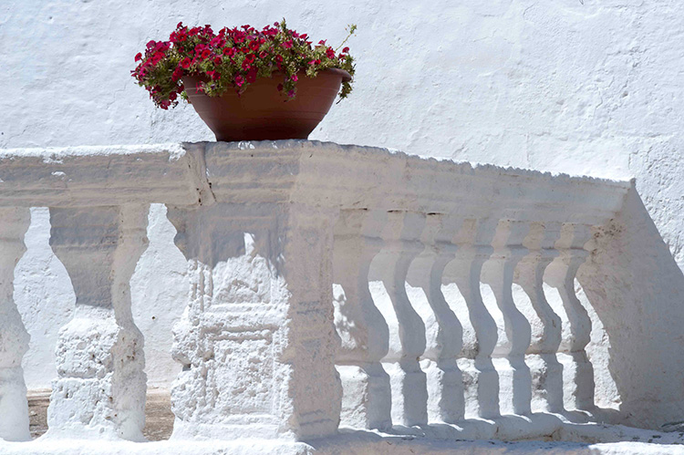 White Puglia