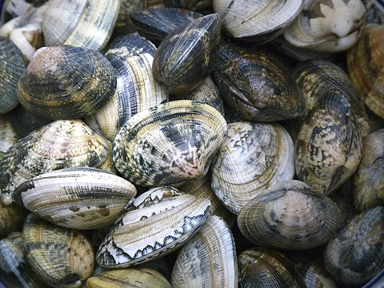 Clams
Low in calories, high in vitamins and minerals