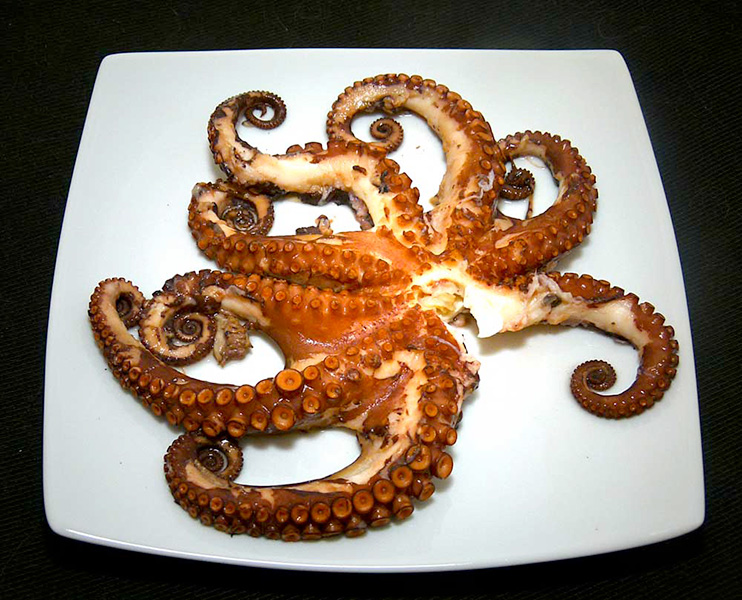 Octopus
Few calories, good proteins