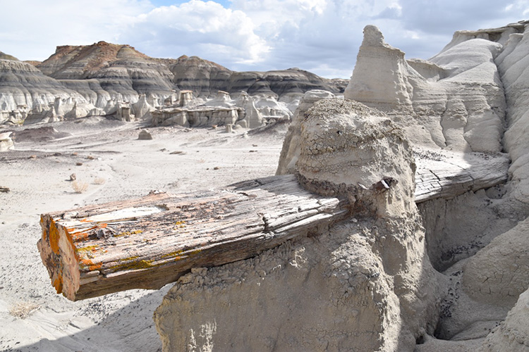 Bisti Badlands
Paesaggi lunari in New Mexico