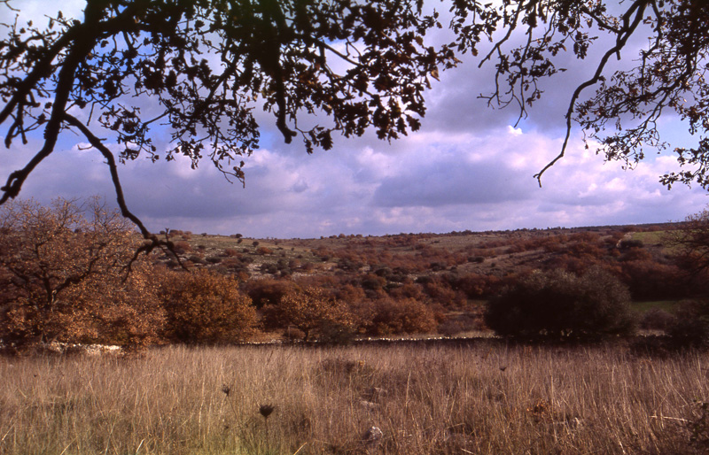 Parco nazionale dell’Alta Murgia
Tra natura e storia