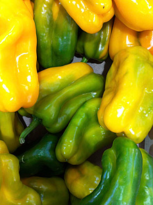 Peppers
Super-concentrated <br />with vitamin C