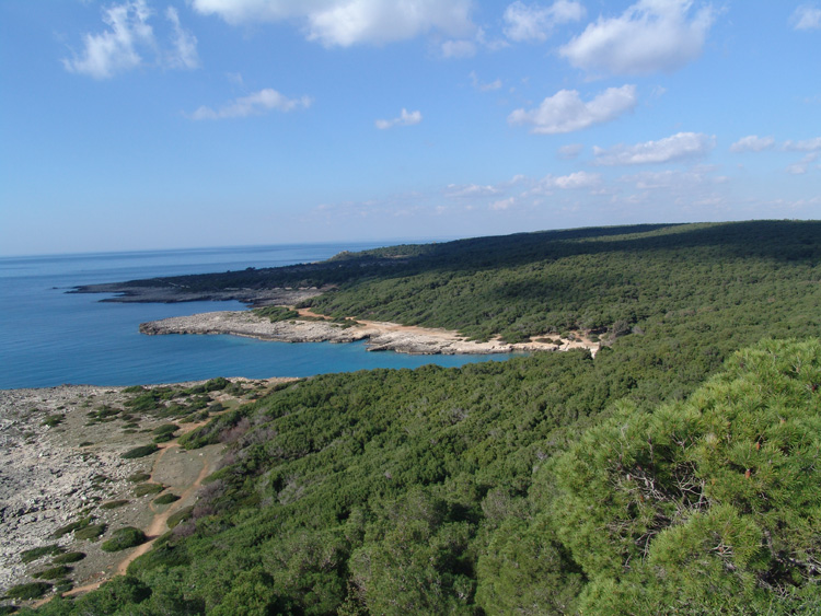 Porto Selvaggio and Palude del Capitano regional nature reserve
A dive into beauty