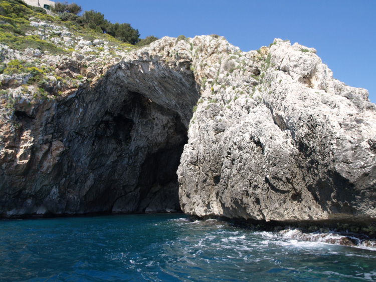 Amidst cave bats and magnificent vallonea oaks