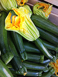 Zucchini
An ideal summer food for the table