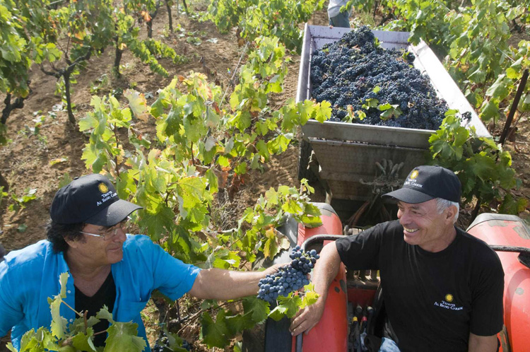 TERROIR
The men, women, culture and land in wine-making