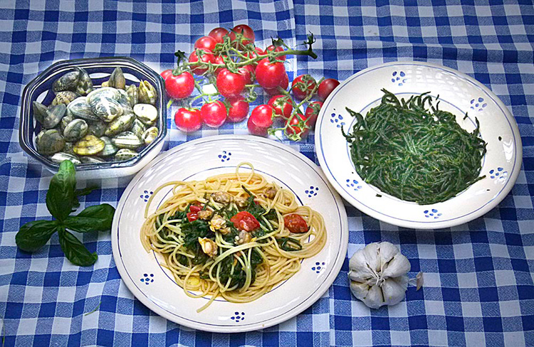 Spaghetti with clams and samphire