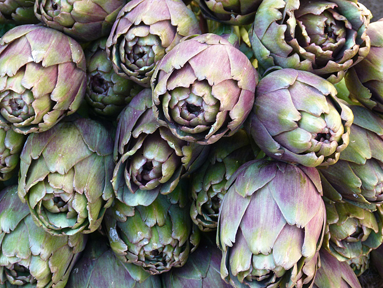 Artichokes
…so tasty and precious for our health